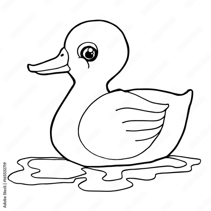 Coloring pages ducks