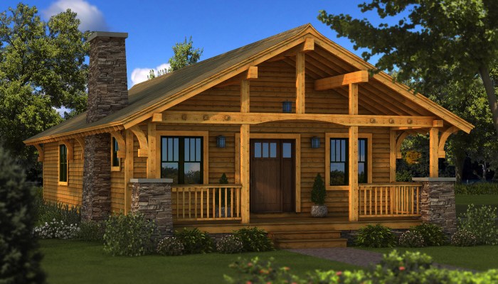 Cabin house design plans