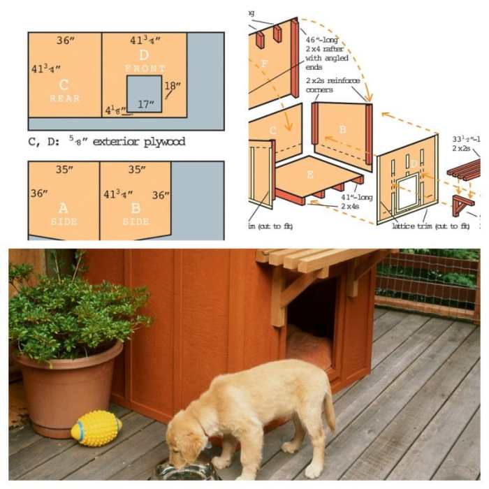 Dog house diy plans easy simple dogs plywood large yourself kennel outdoor do two ideas cheap build houses crafts roof