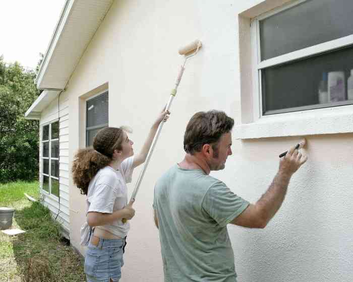 House painting and design