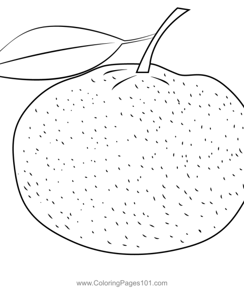 Coloring pages for orange