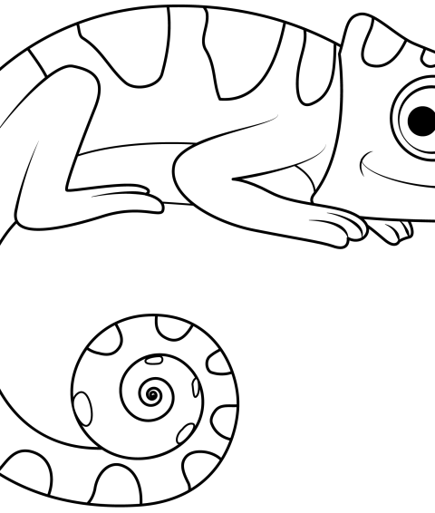 Coloring pages chameleon