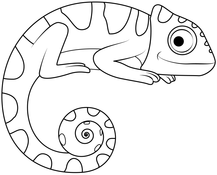 Coloring pages chameleon