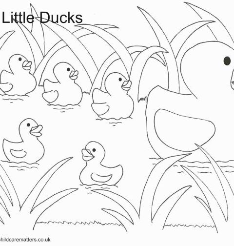 Coloring pages ducks