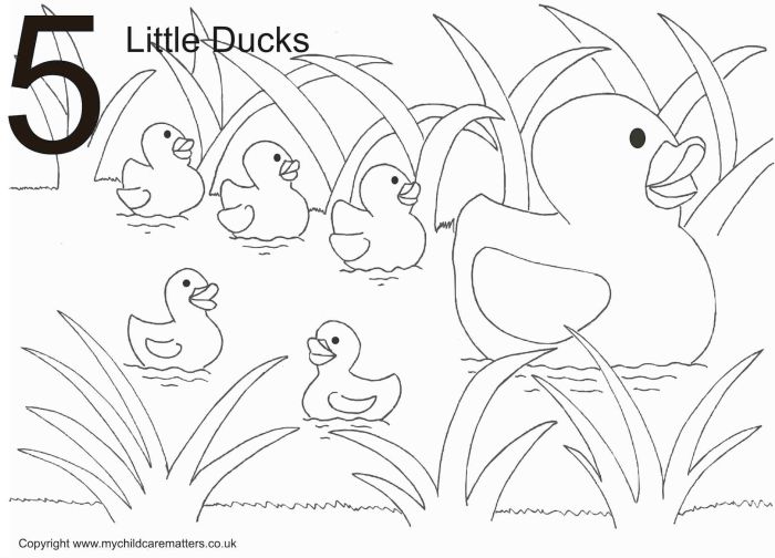 Coloring pages ducks