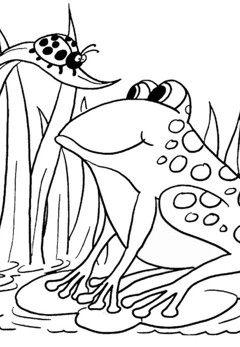 Coloring pages frog