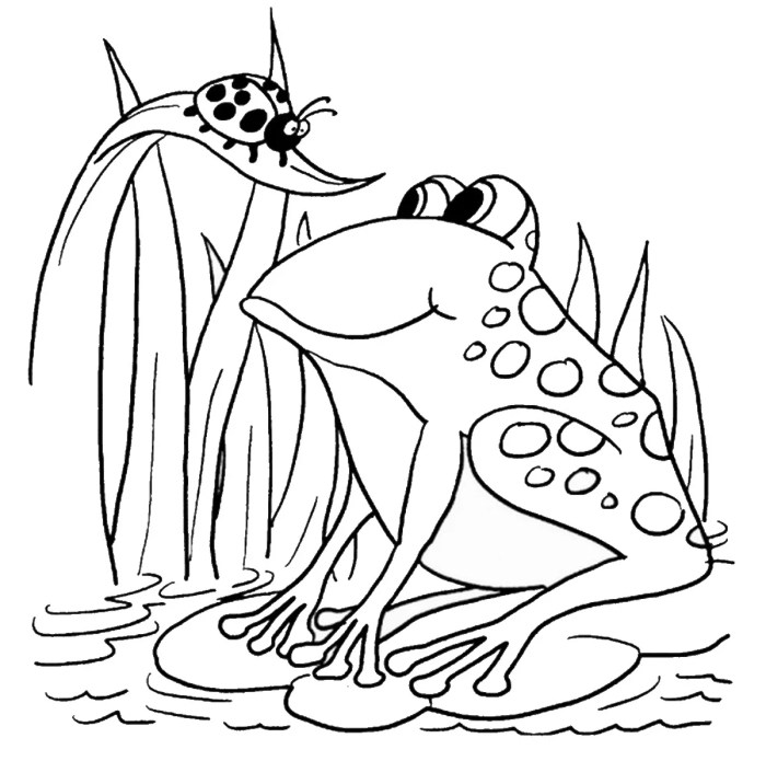 Coloring pages frog