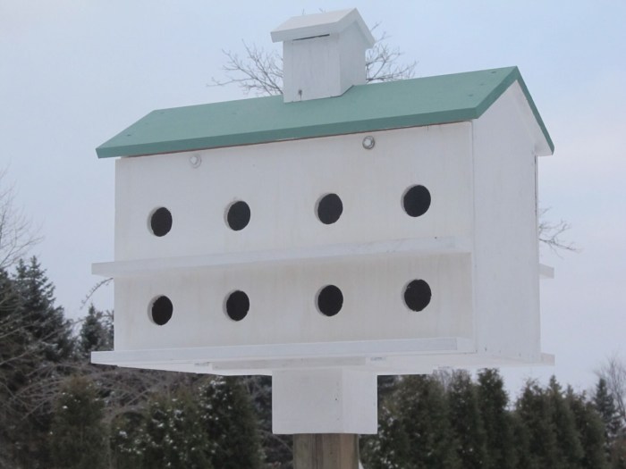 Purple martin house design