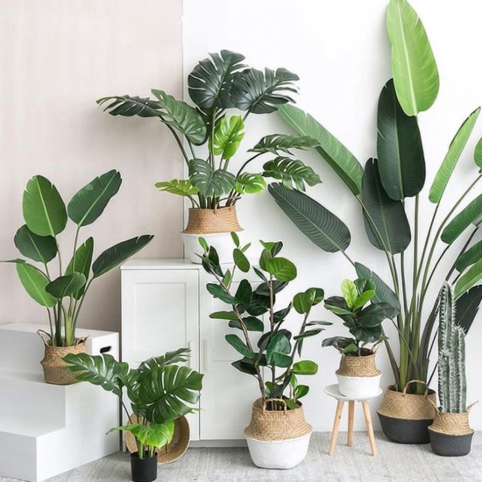 Fake plants home decor