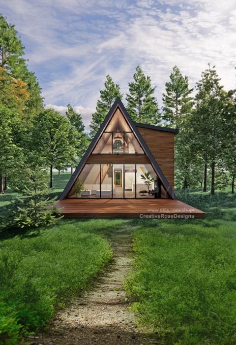 Cabin house design plans