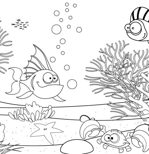 Coloring page under the sea